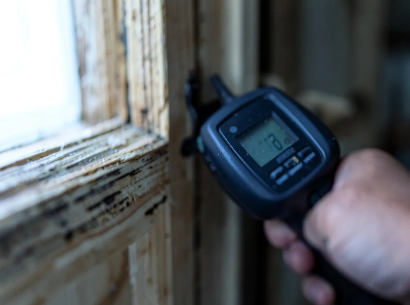 Moisture Inspection And Documentation in Angels Camp, CA